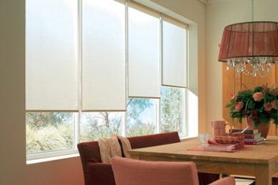 Roller Blinds for the living room